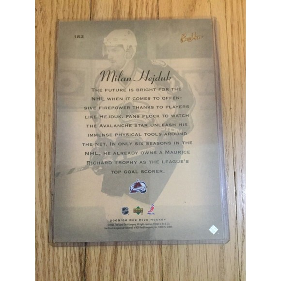 2005-06 Beehive Colorado Avalanche Hockey Card #183 Milan Hejduk NHL 5x7 - Picture 2 of 2